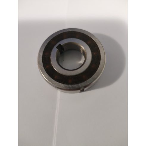 EME 50-65cc Önindító Szabadonfutó csapágy.